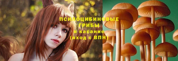 альфа пвп Краснослободск