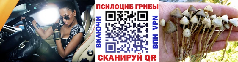 ссылка на мегу рабочий сайт  продажа наркотиков  Сольцы  дарк нет состав  Галлюциногенные грибы MAGIC MUSHROOMS 